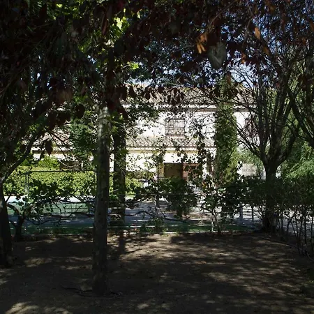 Finca El Molino Ajofrín Extérieur photo